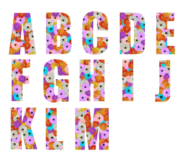 Floral font letter a to m — Stock Photo, Image