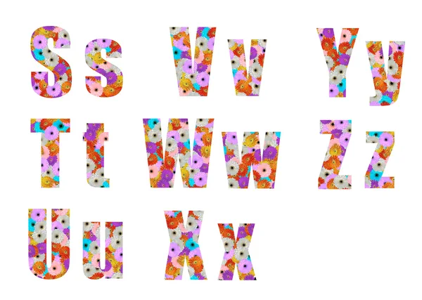 Floral font letter s to z — Stock Photo, Image