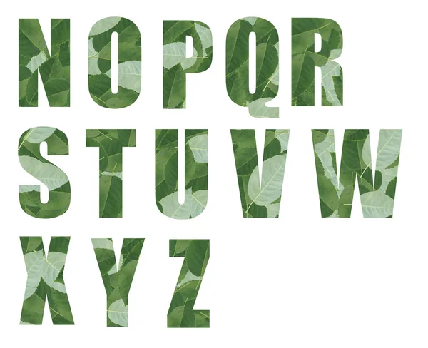 ALL font made from leaf tiles — Stock Photo, Image