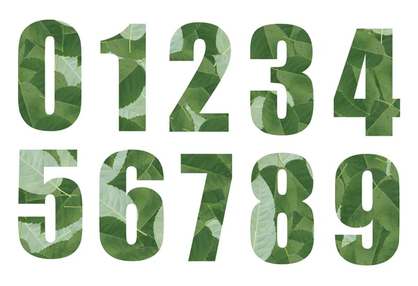 Alla teckensnitt från leaf plattor — Stockfoto