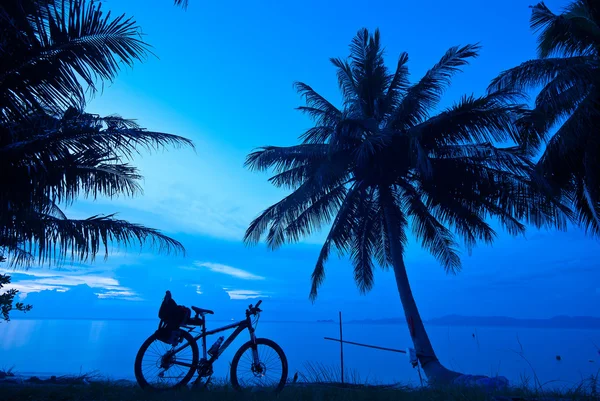 Twilght bike coconut tree — Stock Photo, Image