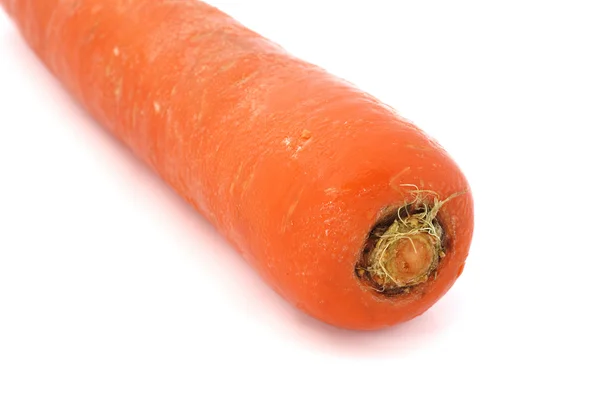 Pojedynczy marchew na białym tle — Zdjęcie stockowe
