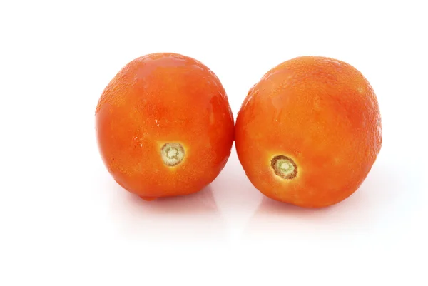 Dva rajče, samostatný — Stock fotografie