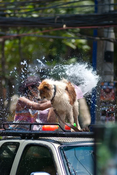 Songkran fesztivál 2011 Thaiföld — Stock Fotó