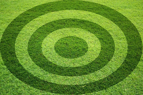 Gras doelveld — Stockfoto