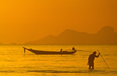 Ko samui sayısı