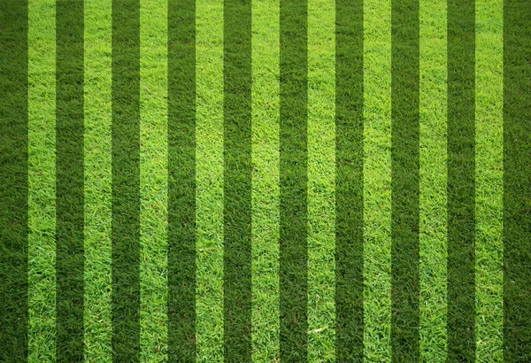 Lege grasveld — Stockfoto