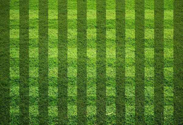 空の草フィールド — ストック写真