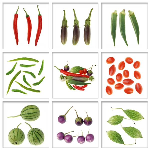 Raw vegetable — Stock Photo, Image