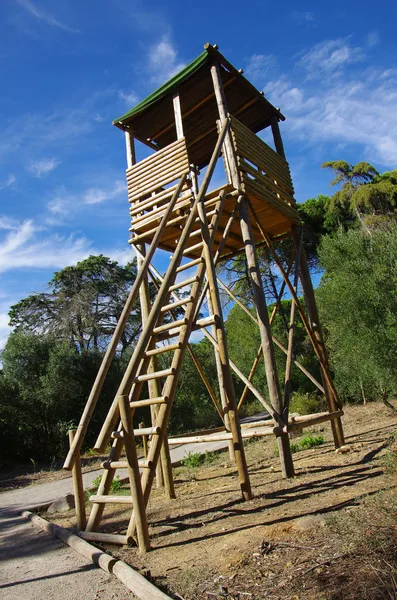 Сторожевая башня — стоковое фото