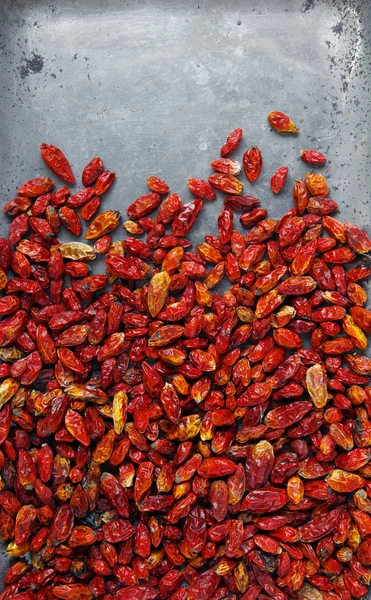 Αποξηραμένα τσίλι πιπεριές — Φωτογραφία Αρχείου