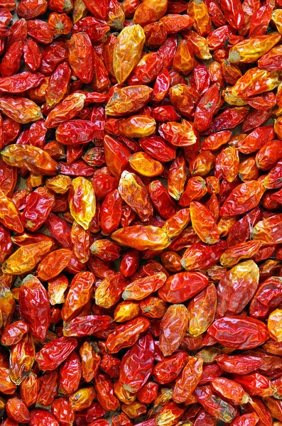 stock image Dried Chili Peppers