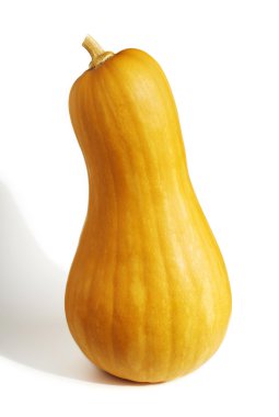 Pear Pumpkin clipart