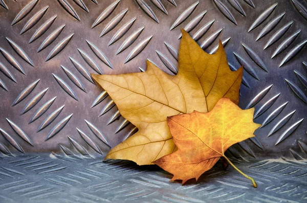 알루미늄 잎 — 스톡 사진