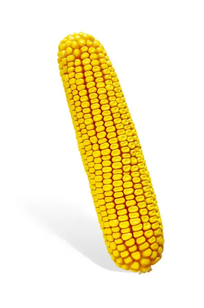 Corn Cob — Stock Photo, Image