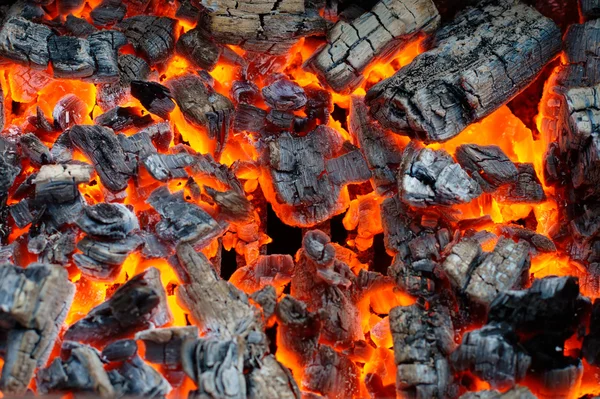 Forró szén Stock Kép
