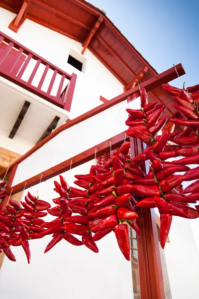 stock image Drying Peppers