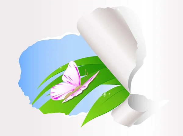 Papillon assis sur l'herbe verte — Image vectorielle