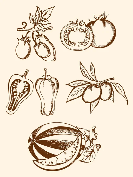 Ensemble d'icônes de légumes vintage — Image vectorielle
