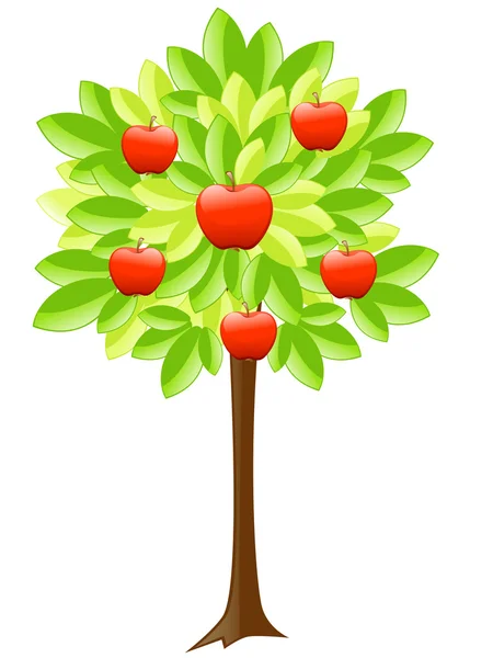 Яблоня — стоковый вектор