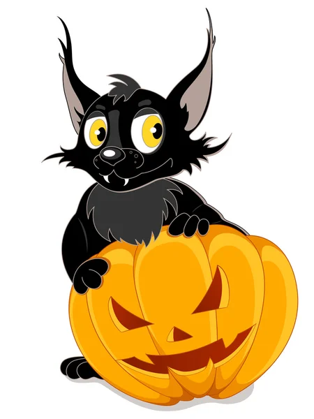 Black bat and Halloween pumpkin — Stok Vektör