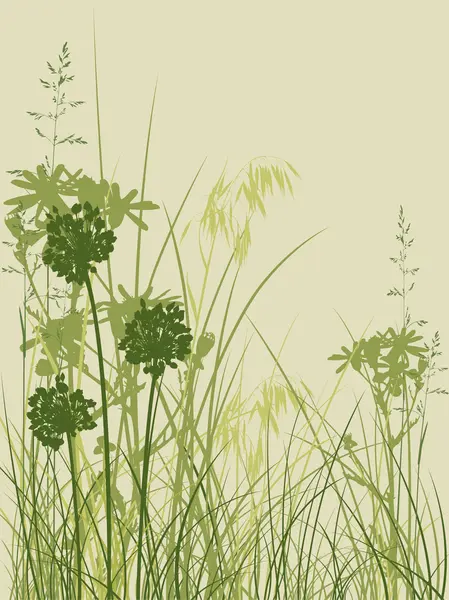 Green grass background — Stock Vector