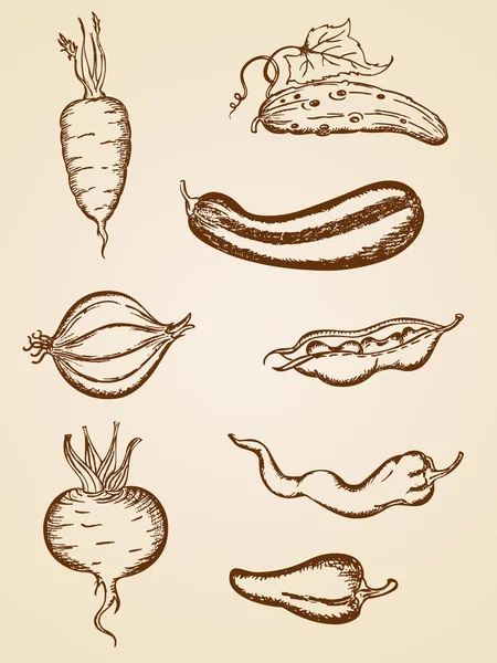 Ensemble de légumes Vintage — Image vectorielle