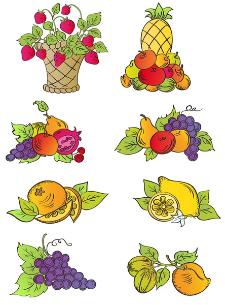 Conjunto de frutas vintage — Vetor de Stock