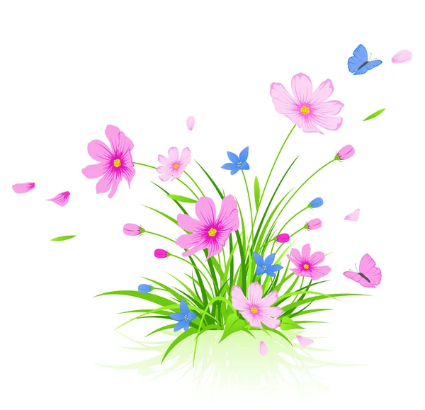 Floraler Hintergrund mit Kosmos-Blumen — Stockvektor