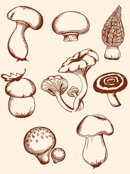 Set of vintage forest mushrooms — Stock Vector