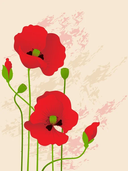 stock vector Floral background with red poppies