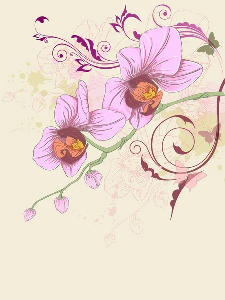 Цветочный фон с орхидеей и орнаментом — стоковый вектор
