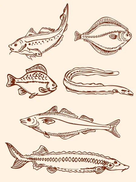 Conjunto de peixes de água salgada vintage — Vetor de Stock