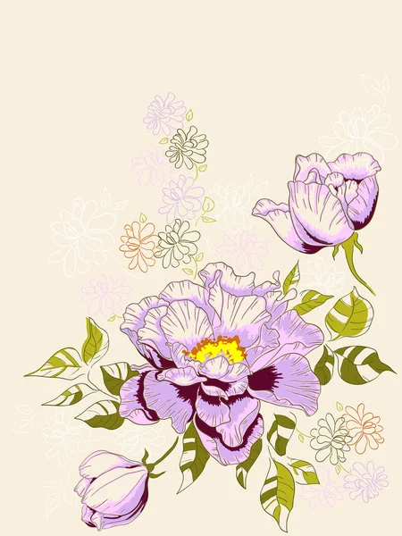 与牡丹花卉背景 — 图库矢量图片