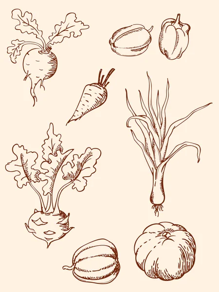 Legumes vintage desenhados à mão — Vetor de Stock