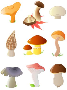 Glossy forest mushrooms clipart