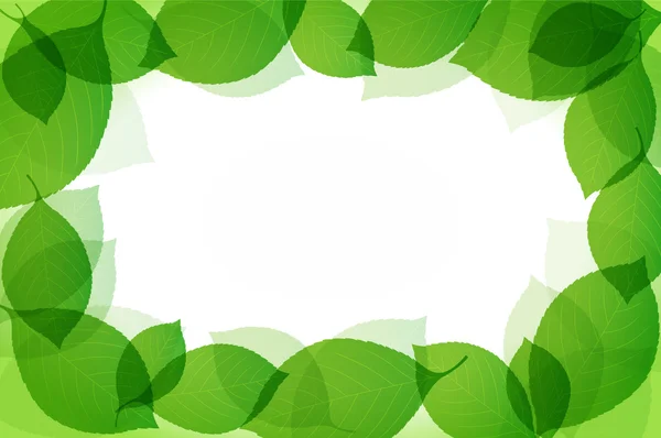 绿叶 — 图库矢量图片