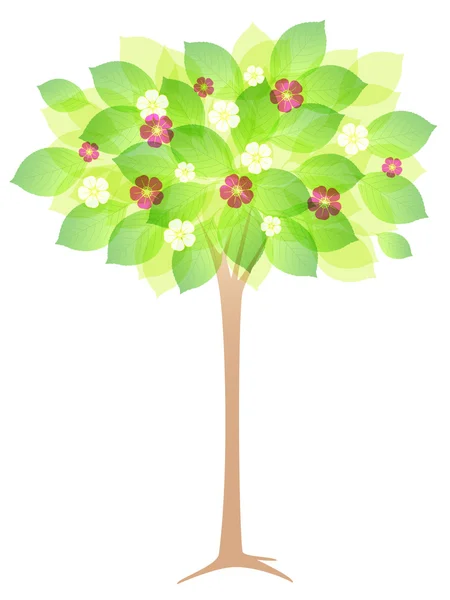 Spring flowering tree — Stock Vector