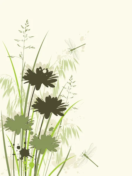 カモミールの花の背景 — ストックベクタ
