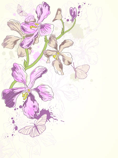 Arka plan ile mor orkideler — Stok Vektör