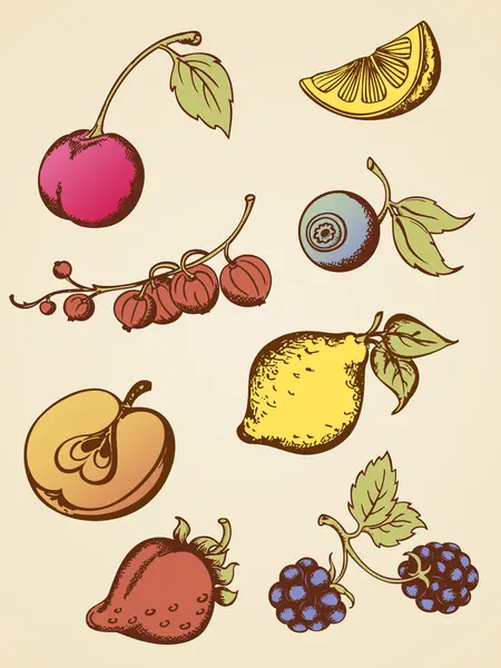 Frutas vintage — Vetor de Stock