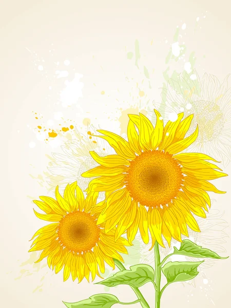 Floral background with sunflower — Stock Vector