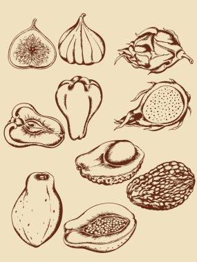 Vintage tropical fruits clipart