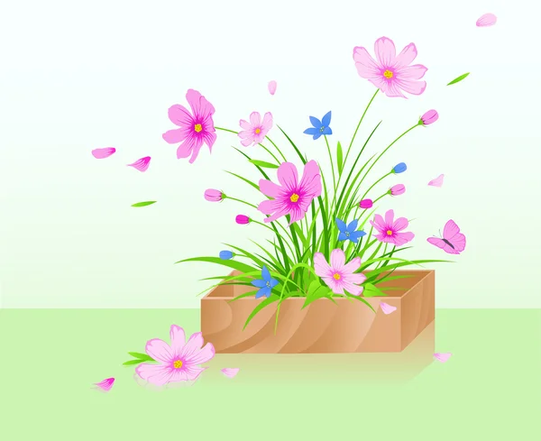 Houten doos met bloemen — Stockvector