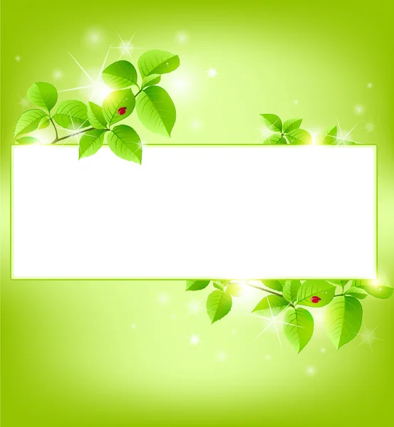 Grünes Banner — Stockvektor