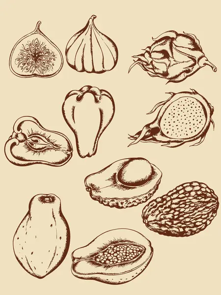 Fruits tropicaux Vintage — Image vectorielle