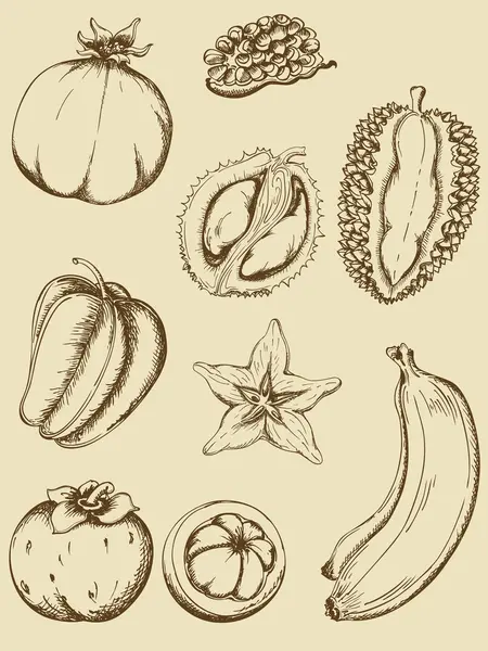 Fruits anciens — Image vectorielle