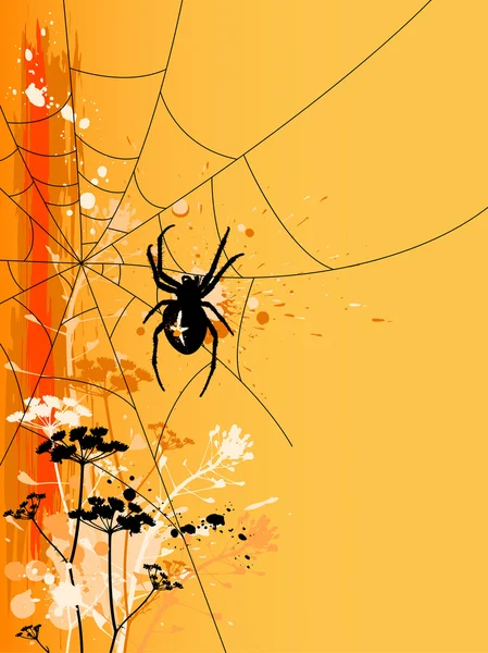 Halloween background with spider — Stock Vector