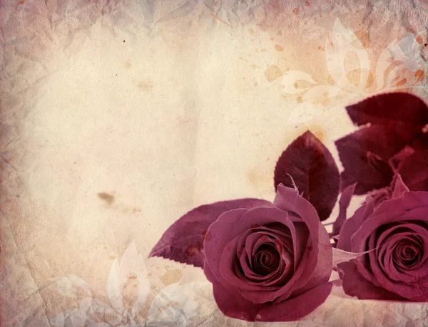 Фон с розами — стоковое фото
