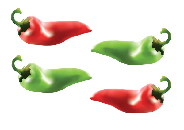 Chili paprika — Stock Vector